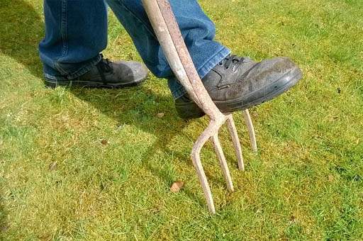 Lawn Care - Aerating Lawn Care - Aerating